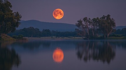 Orange Moon Rising Over Lake and Trees