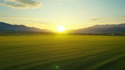 Fototapeta premium Golden Sunrise Over Lush Green Field With Mountains in Background Landscape