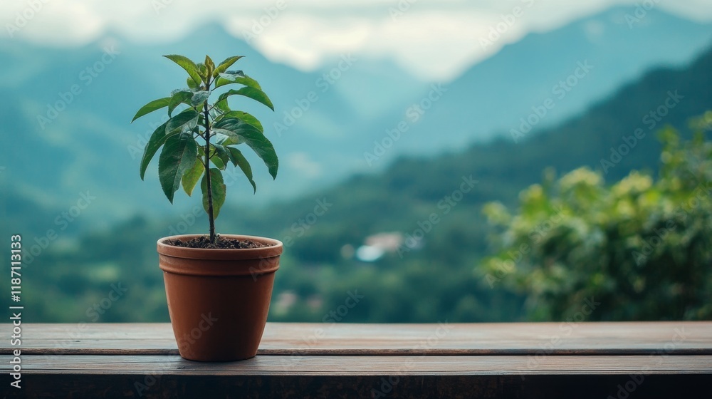 Poster a young tree growing in a pot placed on a wooden balcony with a scenic view of mountains in the back