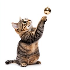 Fototapeta premium Cat playing with a shiny bell, dynamic pose, playful expression, bright background, copy space on the left