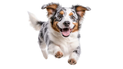 Happy dog running joyfully in a bright, cheerful environment. transparent background