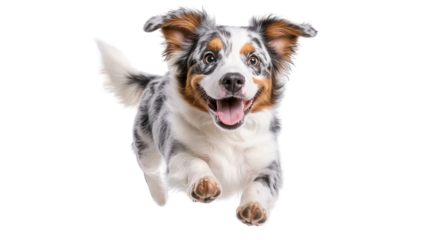 Happy dog running joyfully in a bright, cheerful environment. transparent background