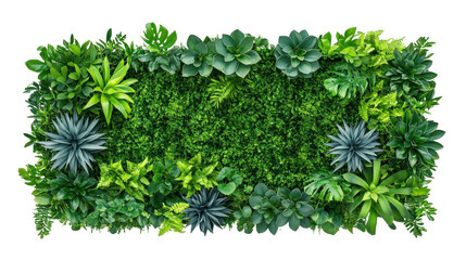 Fototapeta premium Vibrant green plants creating a lush, natural decoration. transparent background