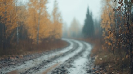 Obraz premium A winding dirt road surrounded by autumn trees under a soft rain creates a serene atmosphere, This image could be used for travel blogs, nature articles, or as a background for reflective themes,