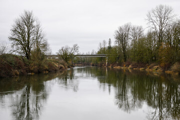 Damp winter scene on the Snoqualmie River with green moss on trees giving color
