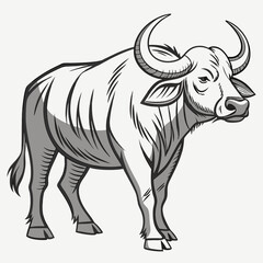 Fototapeta premium illustration of a bull