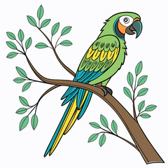 blue and yellow macaw