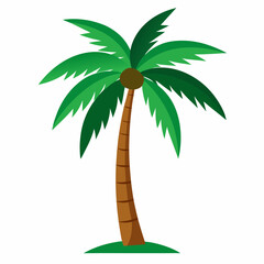 palm tree vector illustration