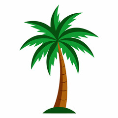 palm tree and coconut
