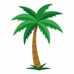 palm tree illustration