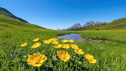 Obraz premium A vibrant landscape featuring yellow flowers by a peaceful stream, surrounded by lush green grass and majestic mountains under a clear blue sky.