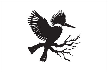 Kingfisher Silhouette vector 