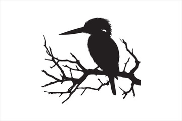 Kingfisher Silhouette vector 
