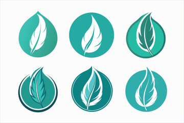  Feather logo icon.