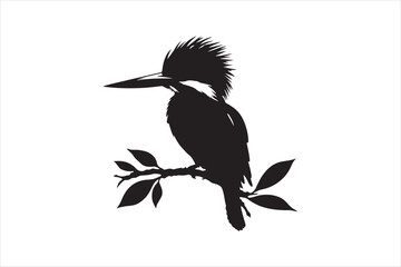 Kingfisher Silhouette vector 