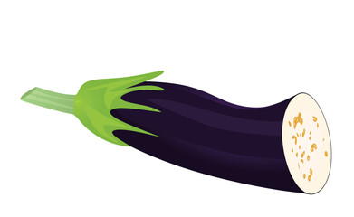 Eggplant vegetable on white background, vector