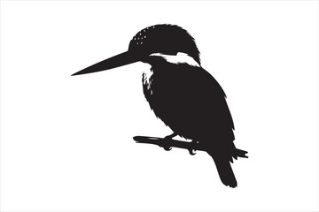 Kingfisher Silhouette vector 
