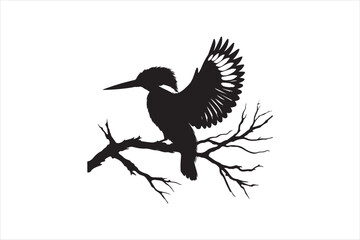Kingfisher Silhouette vector 