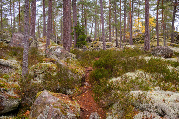Björnnäsets nature reserve in autumn, Sweden