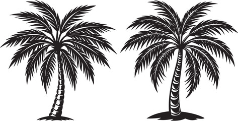 Palm tree silhouette