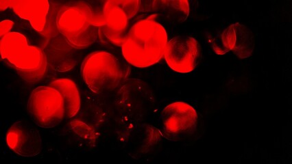 abstract red globular shapes blood cells flowing corpuscles medical education template presentation party conference backdrop isolated on black