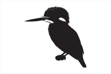 Kingfisher Silhouette vector 
