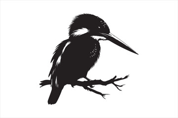 Fototapeta premium Kingfisher Silhouette vector 
