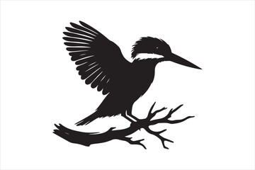 Kingfisher Silhouette vector 