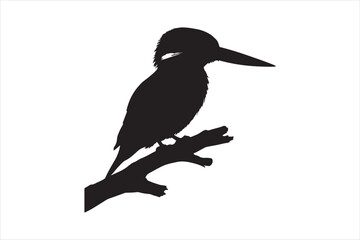 Obraz premium Kingfisher Silhouette vector 