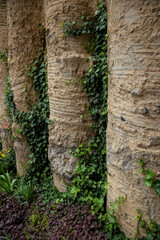 column wall, decoration, creeper on a column