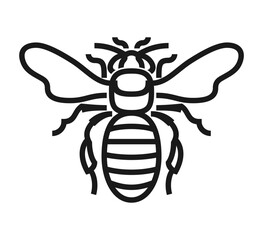 Bee icon in bold line - for logo of honey or propolis