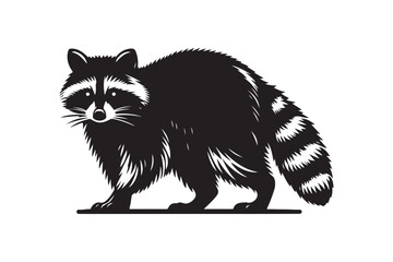 Raccoon Silhouette Vector Animal Illustration 