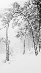 Tranquil winter wilderness: snow covered forest in a blizzard for nature scene inspiration.