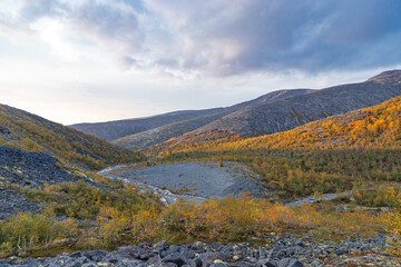 View to Mannepakhp river valley at Khibiny mountains. Stones and small trees. Early autumn in arctic tundra region. Kola peninsula, Murmansk region, Russia.