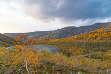 View to Mannepakhp river valley at Khibiny mountains. Stones and small trees. Early autumn in arctic tundra region. Kola peninsula, Murmansk region, Russia.