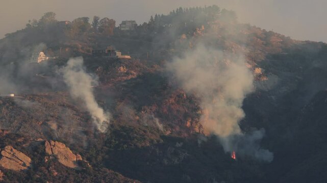 The Malibu Fire in Los Angeles has severely damaged homes and landscapes, prompting officials to declare a state of emergency due to the widespread destruction and ongoing dangerous wildfires