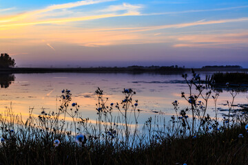 Naklejka premium A beautiful sunset over a lake with a field of flowers on the shore