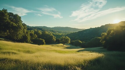Obraz premium Modern sectional sofa with a clean, minimalist frame and deep seating 