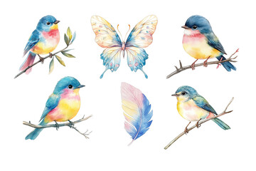 Obraz premium Blaumeisen, Schmetterling und Federn mit transparentem Hintergrund - Frühlingshafte PNG-Freisteller