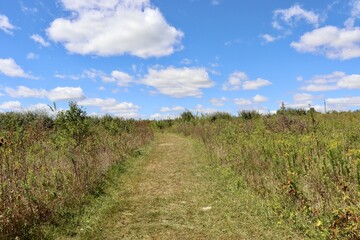 The grass path in the field on a sunny day.