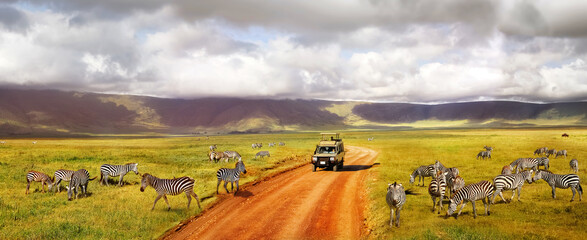 Safari in Ngorongoro Crater National park. Zebras against mountains and clouds. Tanzania. Wild nature of Africa. Banner format.