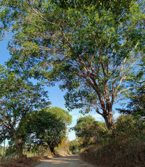 ESTRADA MOCAMBO