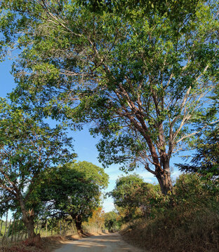 ESTRADA MOCAMBO