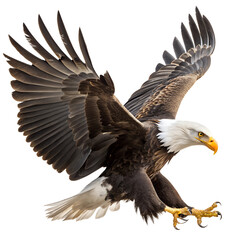 Obraz premium Bald Eagle in Flight with Wings Fully Spread and Talons Extended. Transparent background. PNG
