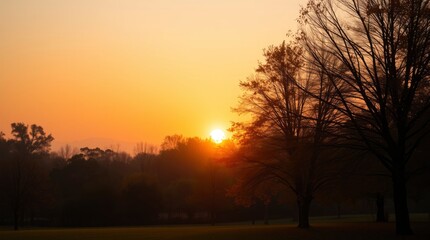 Sunset panorama background