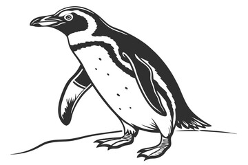 penguin vector illustration