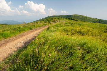 Bieszczady i szlak na Rawki, widok na zielone trawy i szczyt