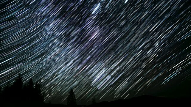 In a peaceful forest, stars create stunning trails across the night sky, showcasing the beauty of the universe. This celestial dance invites awe and wonder in a calm setting.