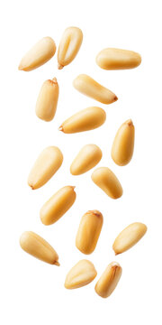 Pine nuts isolated.
Crunchy texture, healthy snack, nutty flavor, savory topping, nutrient-rich, versatile ingredient, Mediterranean cuisine, light snack.