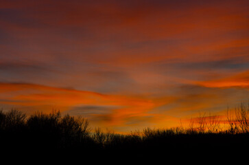Fototapeta premium Twilight. Evening sky, clouds at sunset with red, orange, yellow sunlight. Dark horizon of trees.